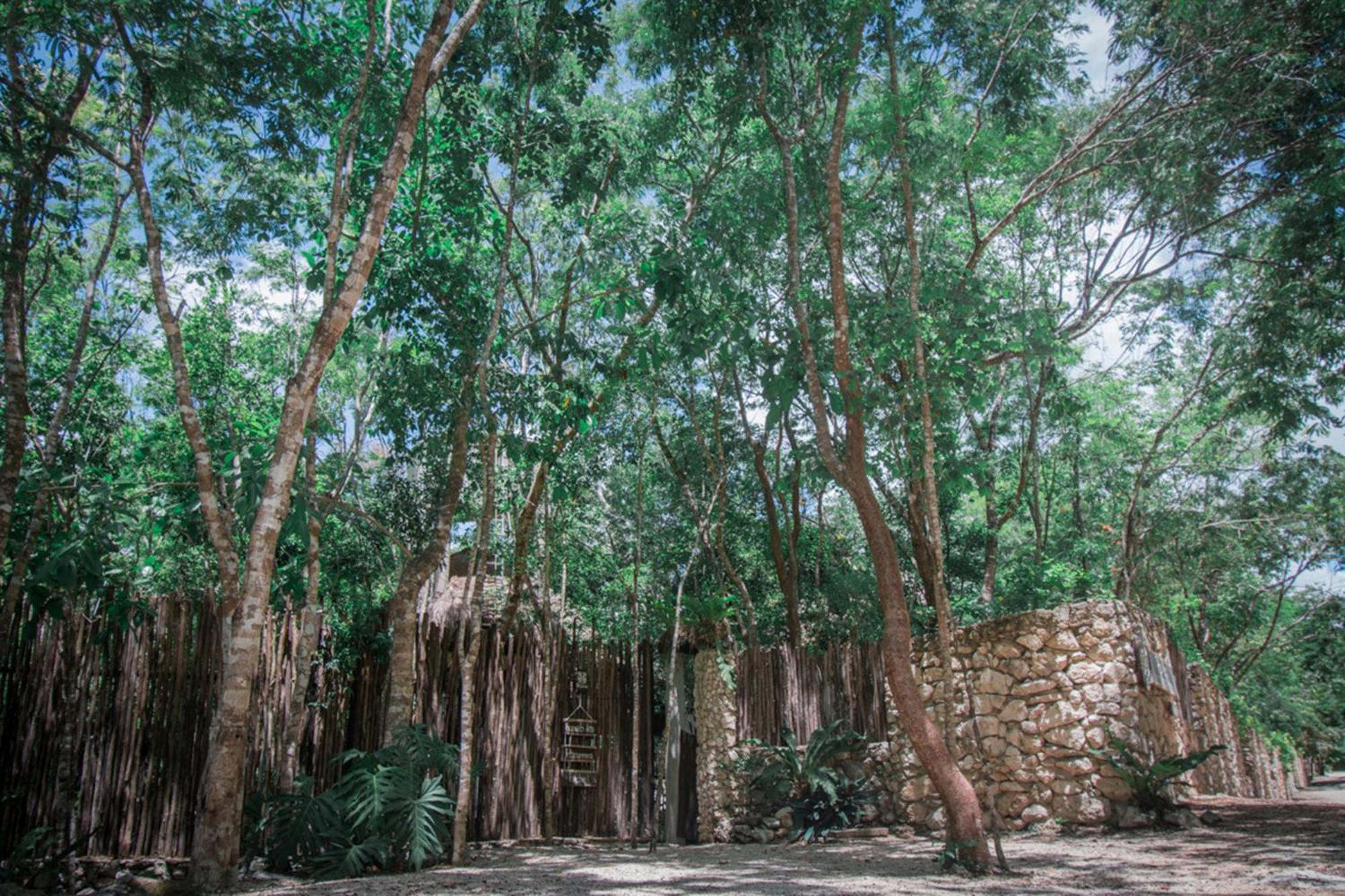 Willa Pepem Holistic Experience - Adults Only Tulum Zewnętrze zdjęcie