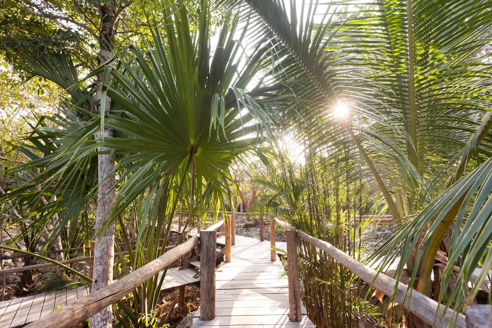 Willa Pepem Holistic Experience - Adults Only Tulum Zewnętrze zdjęcie